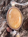 Natural Fossilized Palmtree Pendant gemstone pendant, handcrafted jewelry featuring polished stone with unique color and mineral patterns