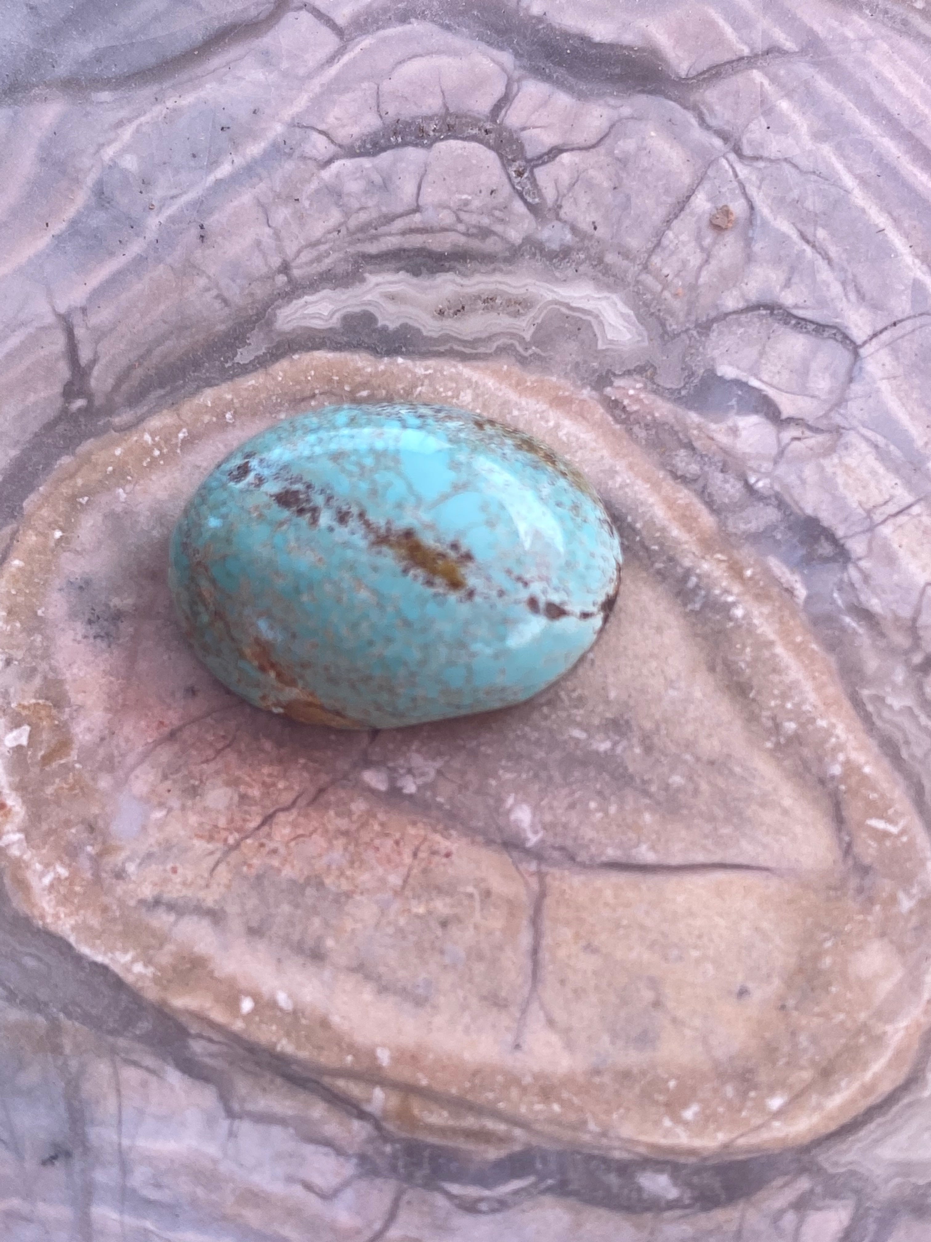 Arizona Turquoise Pendant alternate view 2