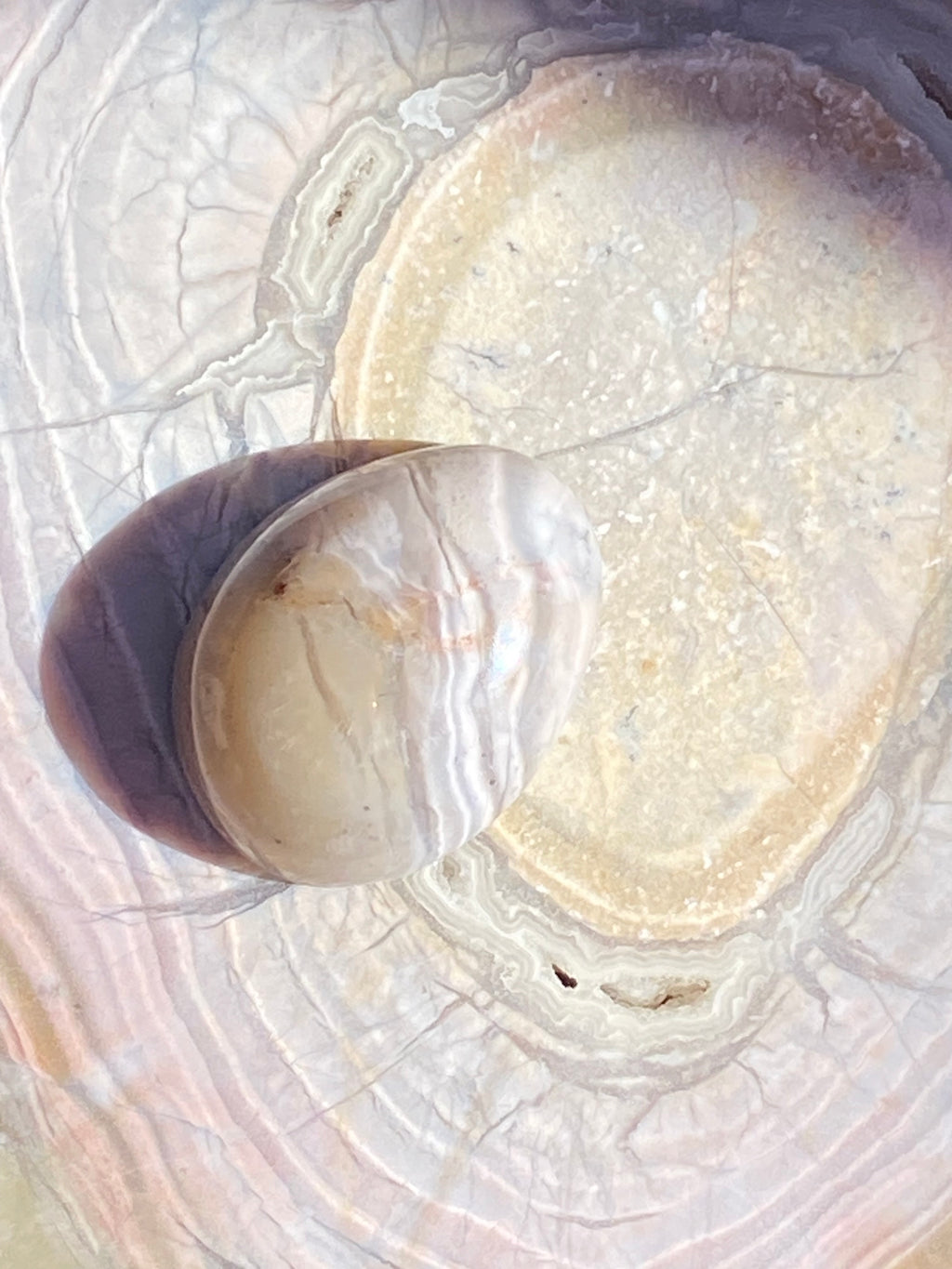 Butte Creek Agate alternate view 2
