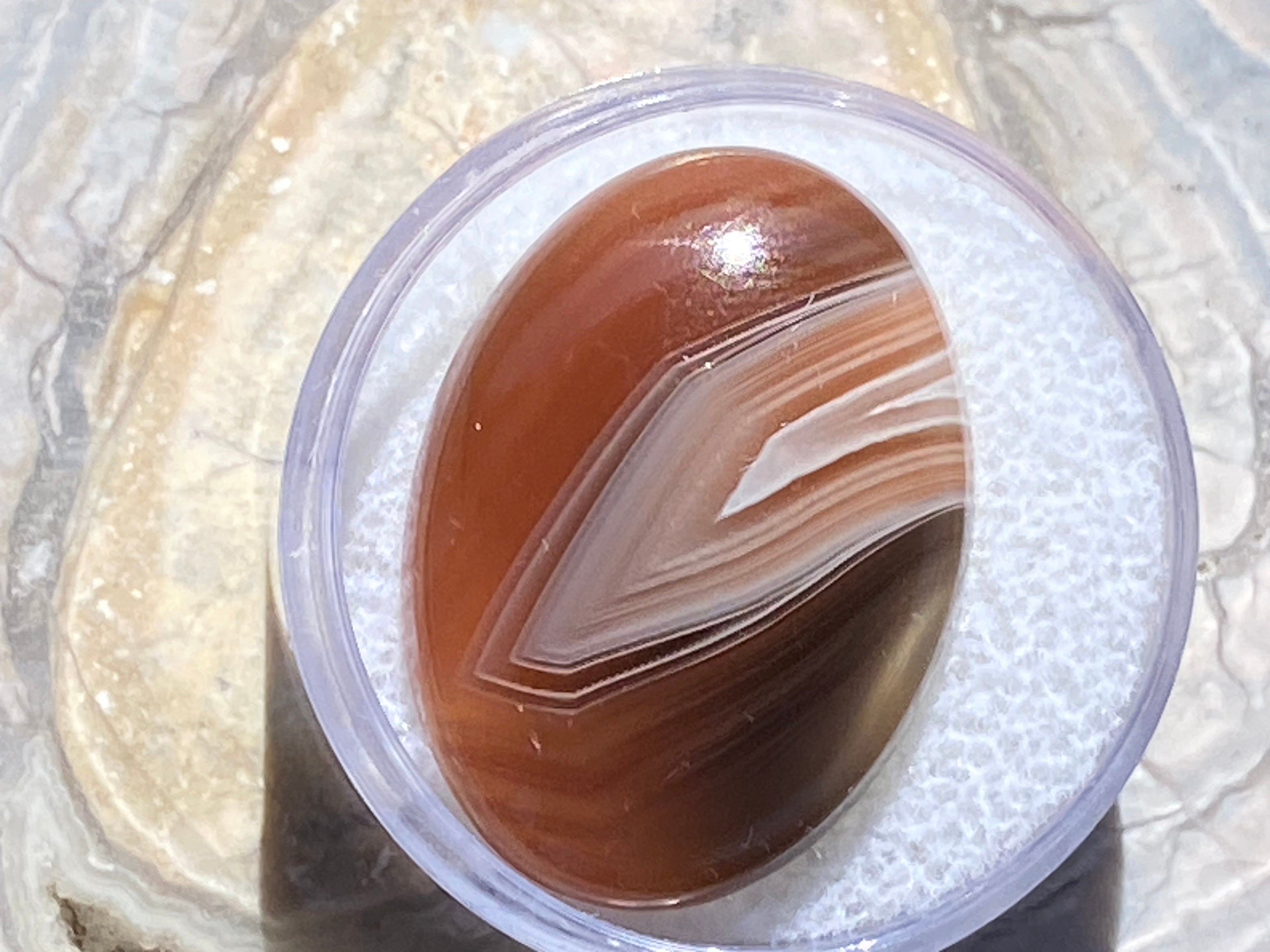 Brown and white patterned stone in a clear container on a textured surface