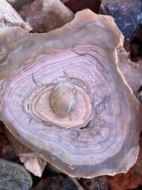 Banded Agate Turtle Pendant alternate view 2
