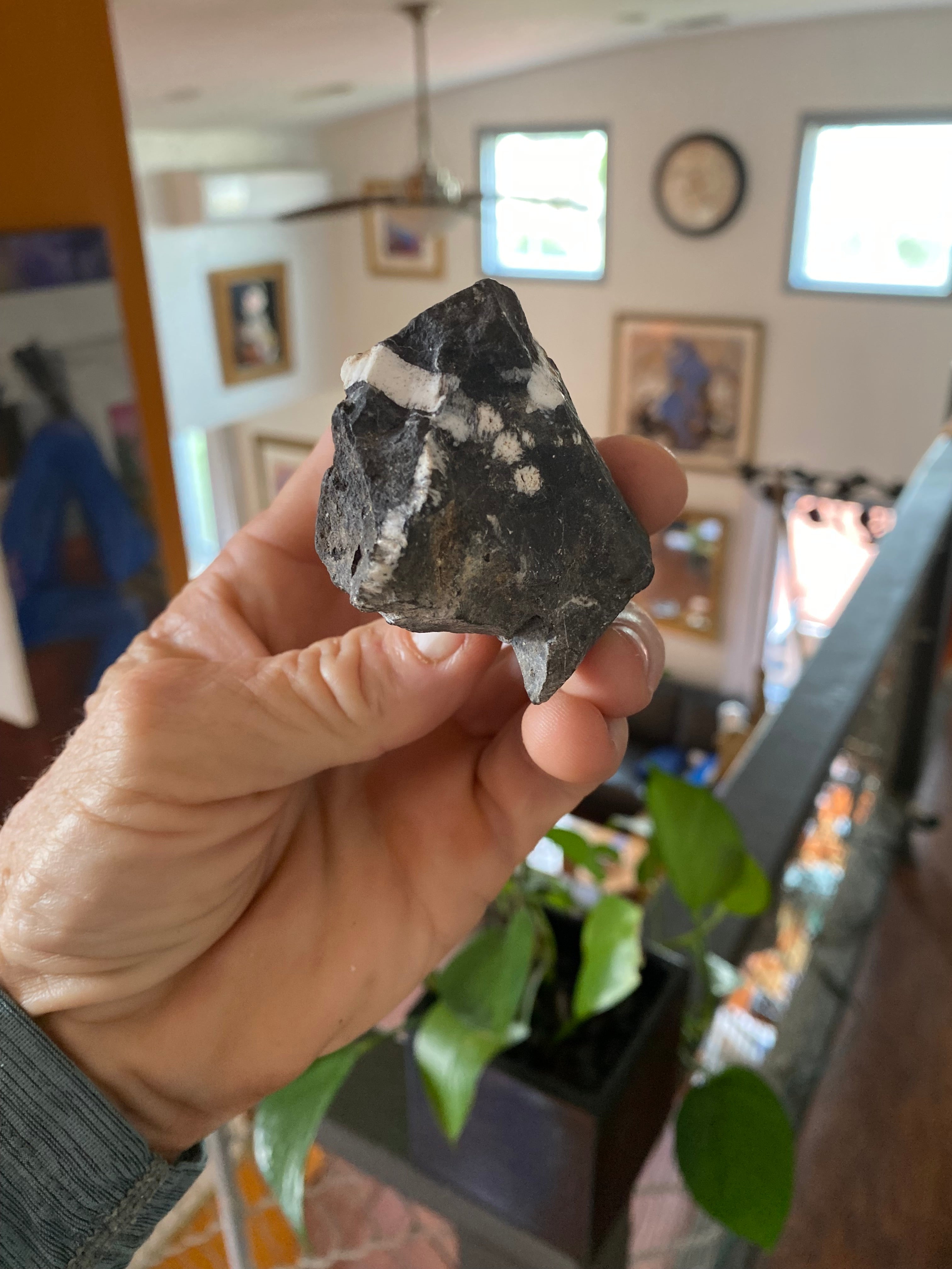 White Buffalo Turquoise on Sterling Silver alternate view 5