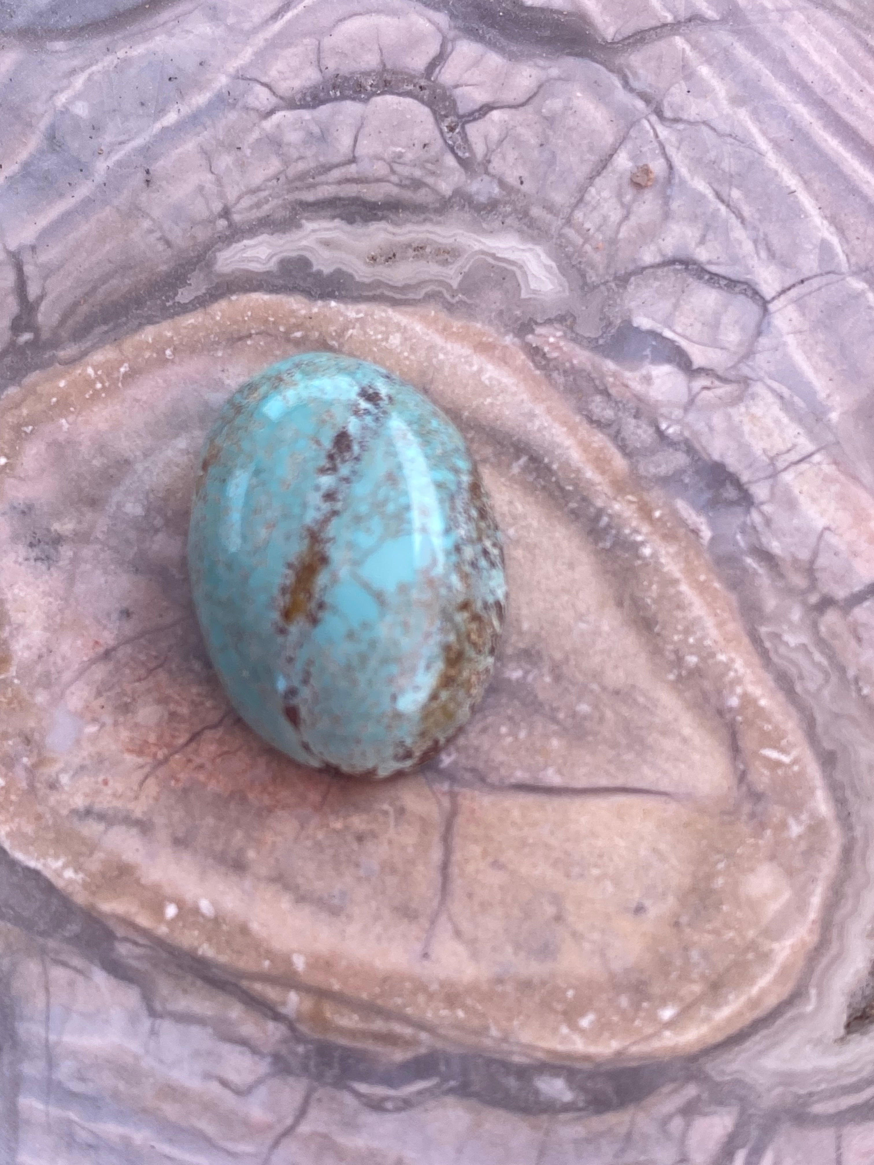 Arizona Turquoise Pendant alternate view 4