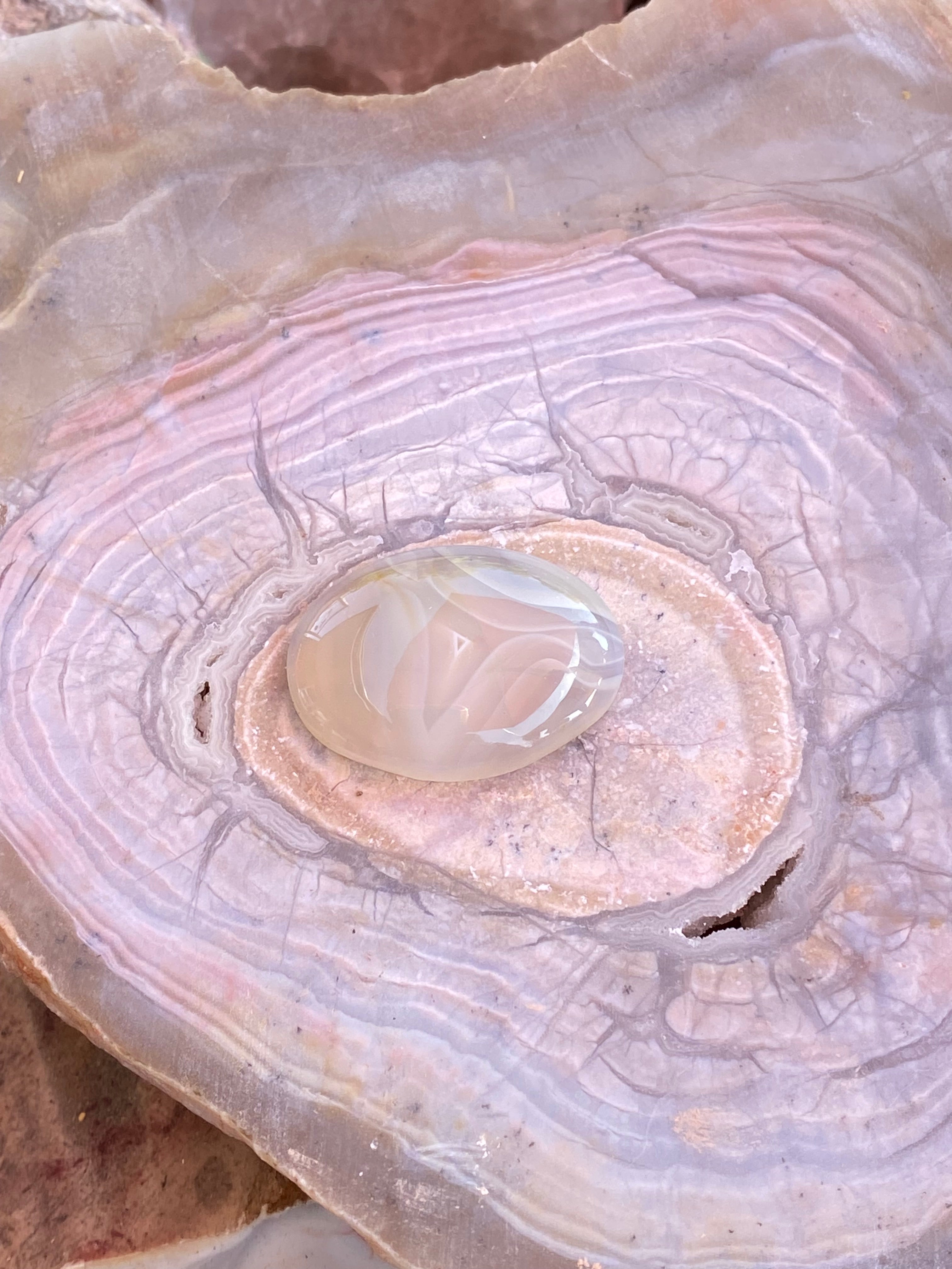 Banded Agate Turtle Pendant alternate view 3