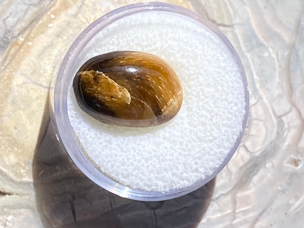 Tiger's eye stone in a clear container on a textured surface