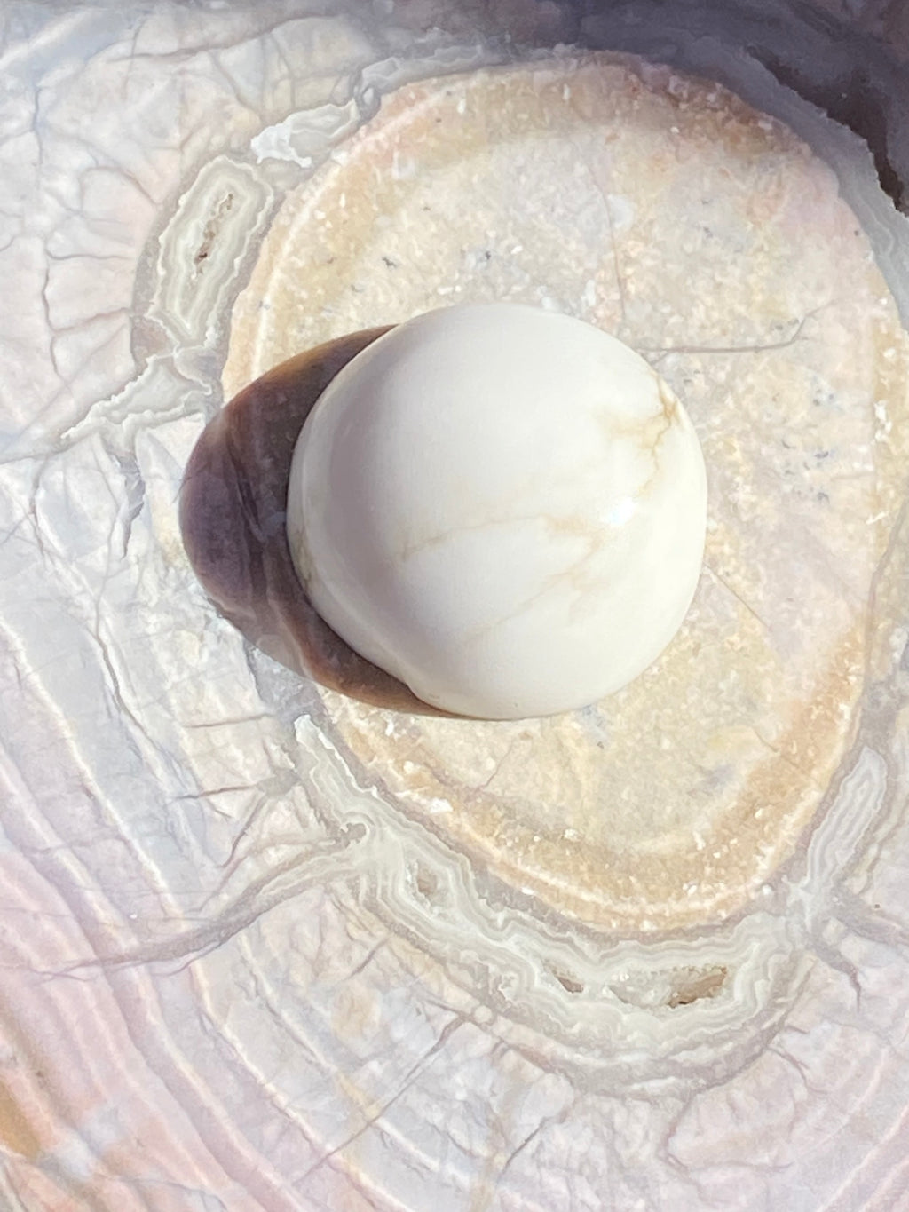 White Buffalo Turquoise Butterfly Pendant alternate view 3