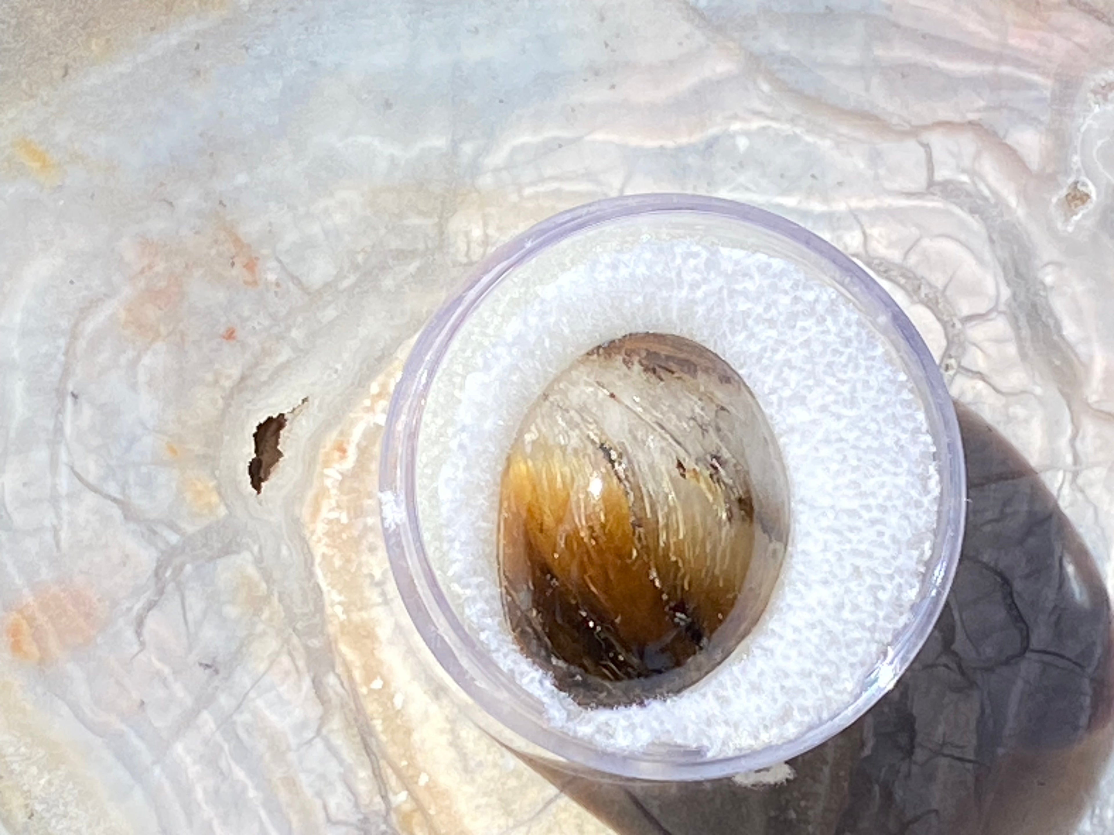 Close-up of a tiger eye oval stone with a clear plastic cover