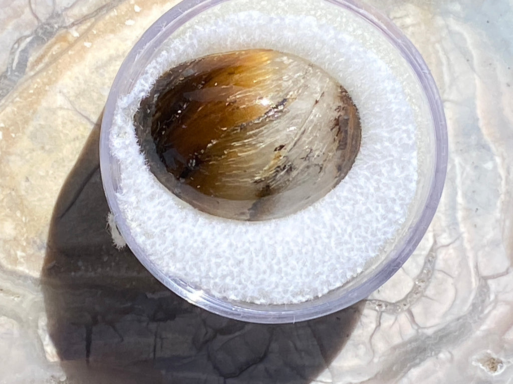 brown tiger eye oval stone inside a container with a rock on a textured surface