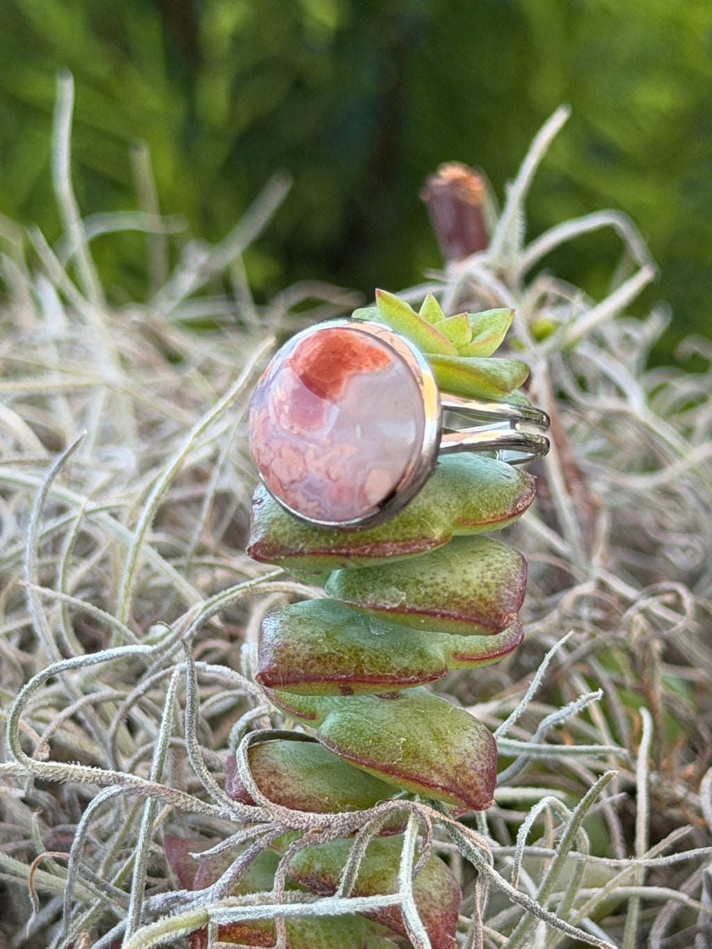 A silver ring with a round cabochon gemstone featuring pink, orange, and white marbled patterns, displayed on a green succulent with Spanish moss against a blurred green background.