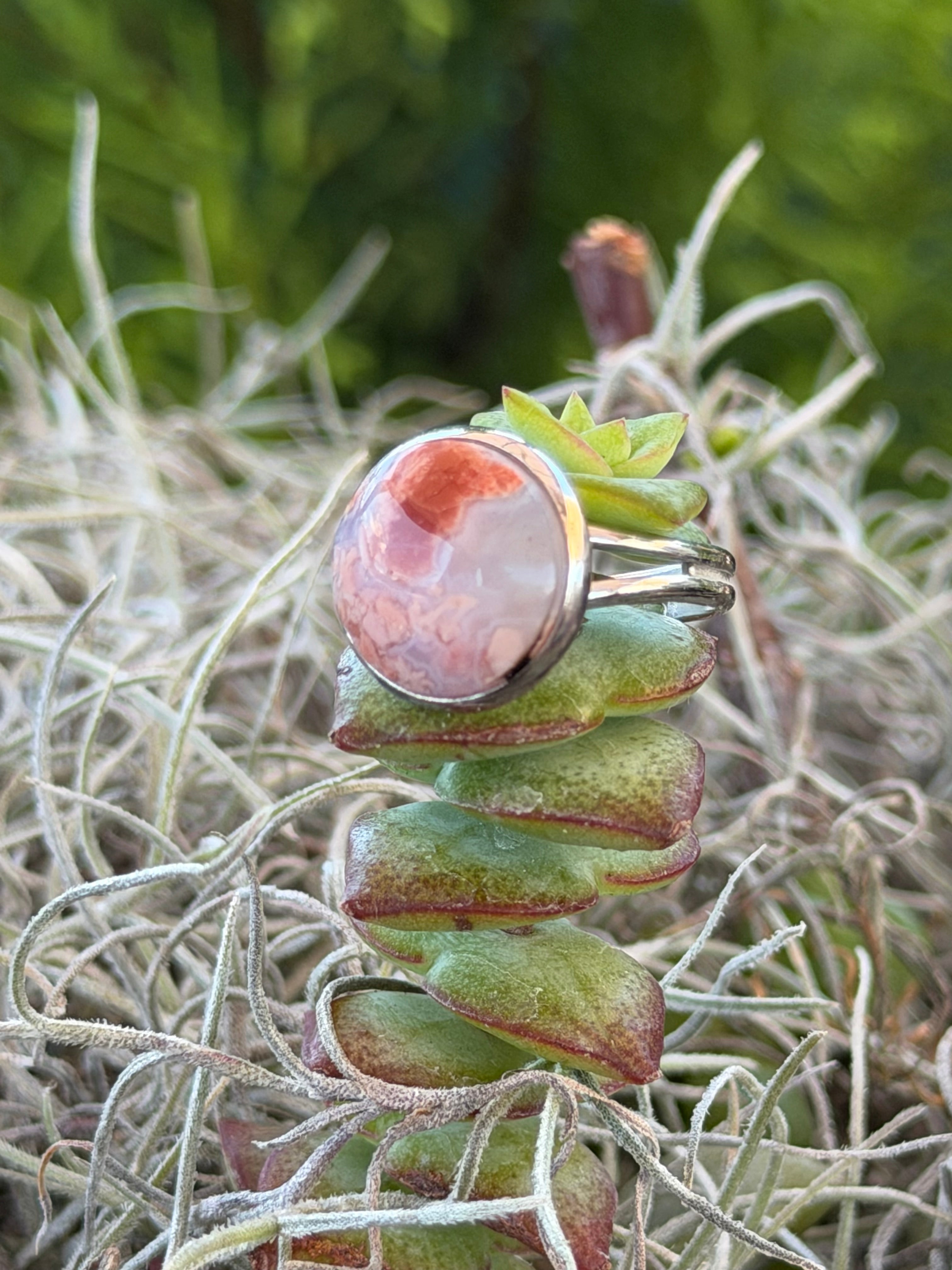 A silver ring with a round cabochon gemstone featuring pink, orange, and white marbled patterns, displayed on a green succulent with Spanish moss against a blurred green background.
