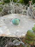 A silver ring with a round turquoise-blue stone featuring dark brown matrix, displayed on a clear quartz crystal surrounded by dried grass and green succulent leaves.