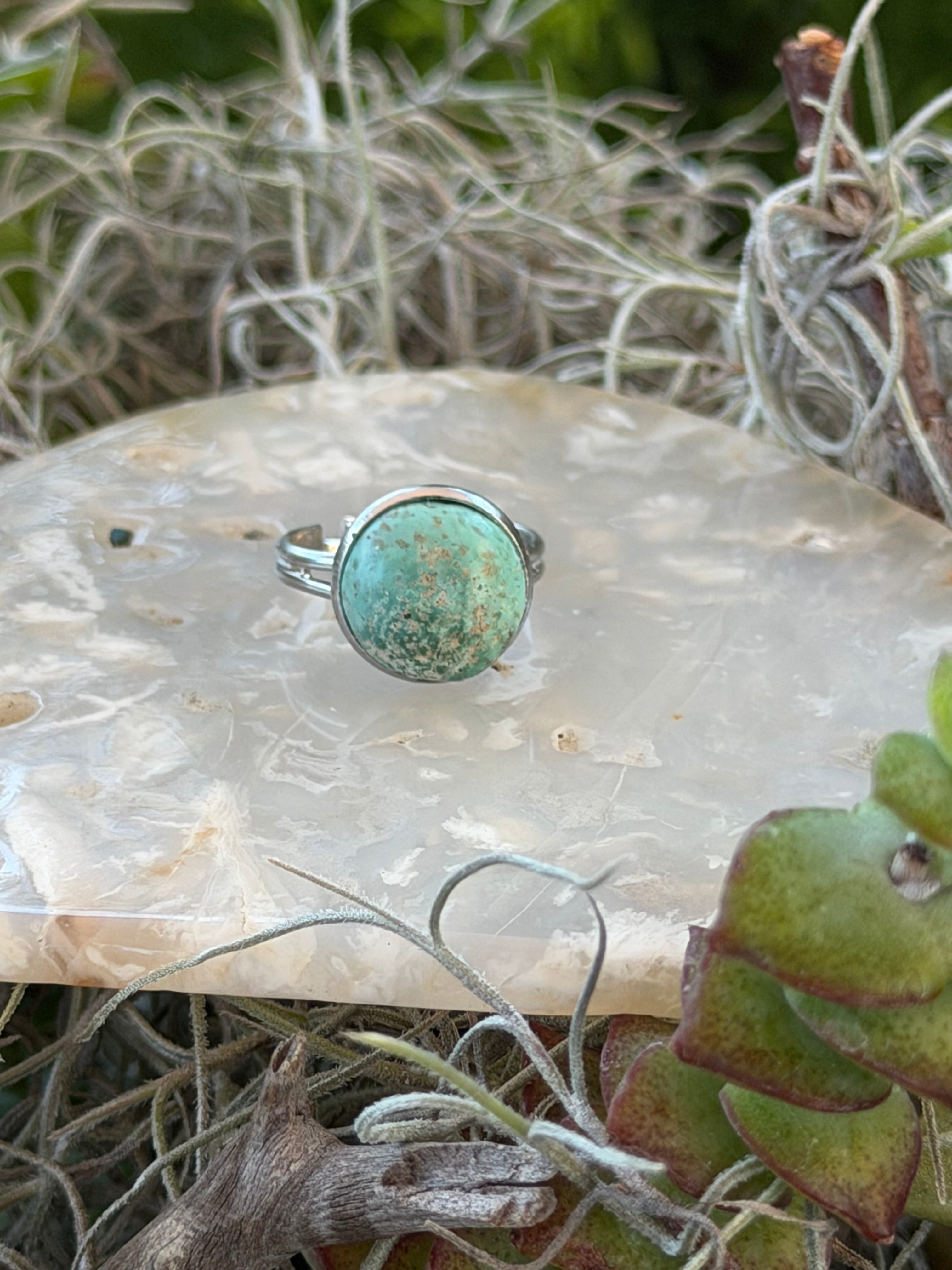 A silver ring with a round turquoise-blue stone featuring dark brown matrix, displayed on a clear quartz crystal surrounded by dried grass and green succulent leaves.