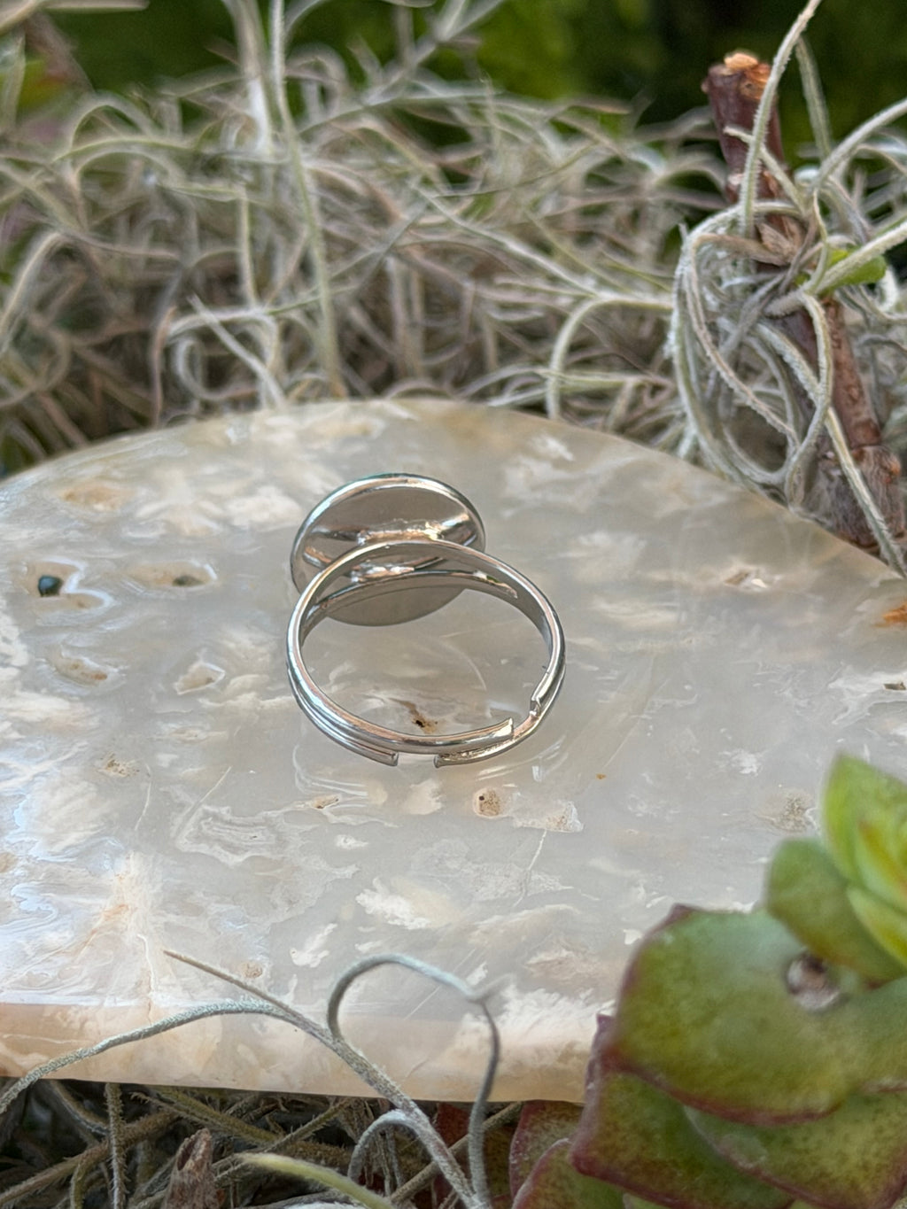 Two polished silver wedding bands resting on a textured white stone slab surrounded by green and silver Spanish moss.