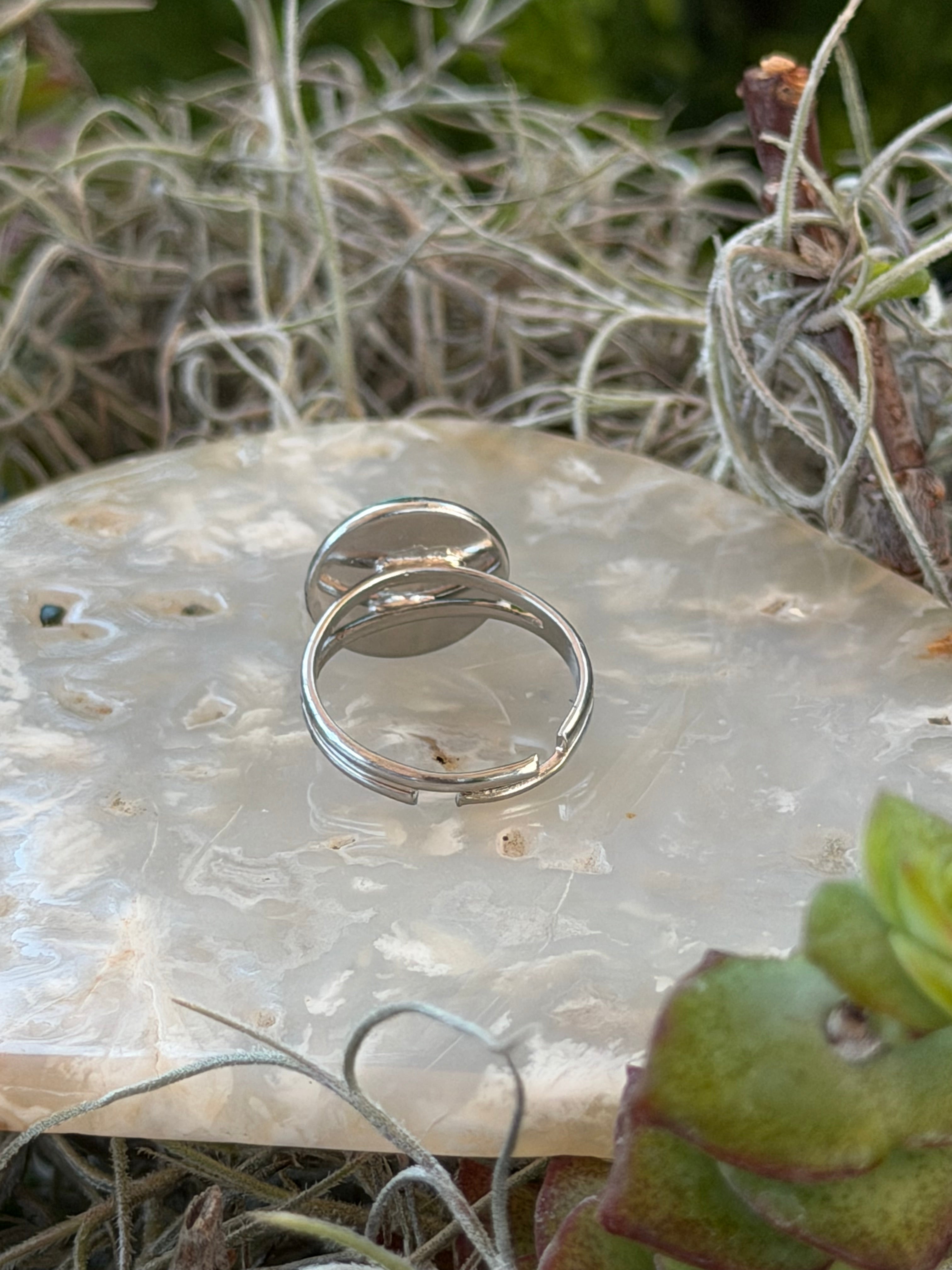 Two polished silver wedding bands resting on a textured white stone slab surrounded by green and silver Spanish moss.