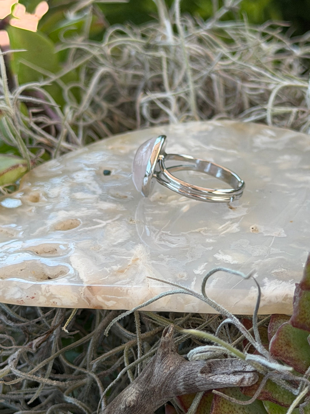 A silver-toned double-band ring with a clear, dome-shaped stone, displayed on a polished piece of mother-of-pearl shell over a bed of dried Spanish moss and green leaves.