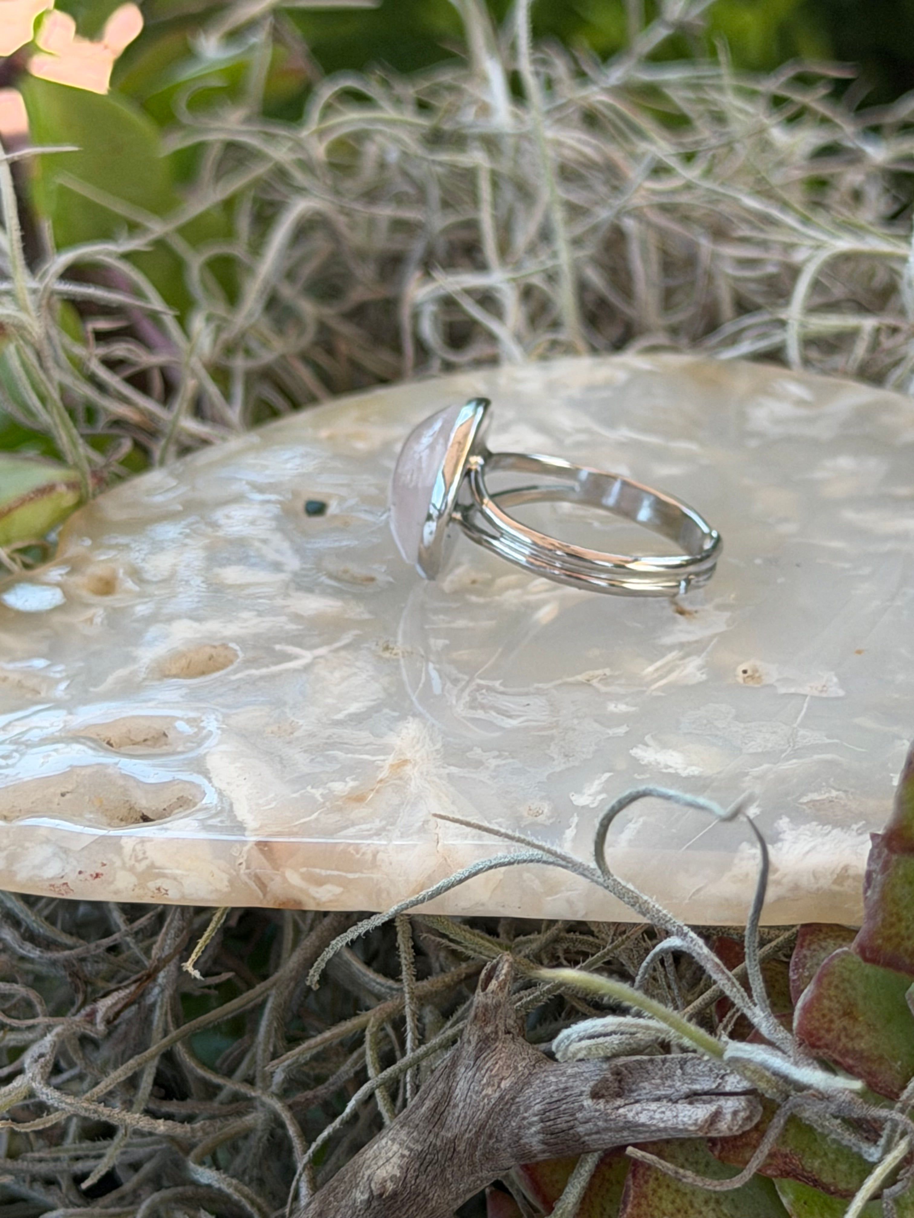 A silver-toned double-band ring with a clear, dome-shaped stone, displayed on a polished piece of mother-of-pearl shell over a bed of dried Spanish moss and green leaves.
