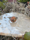 A silver ring with a round, mottled orange-brown stone, displayed on a polished white stone slab surrounded by dried grass and green leaves.