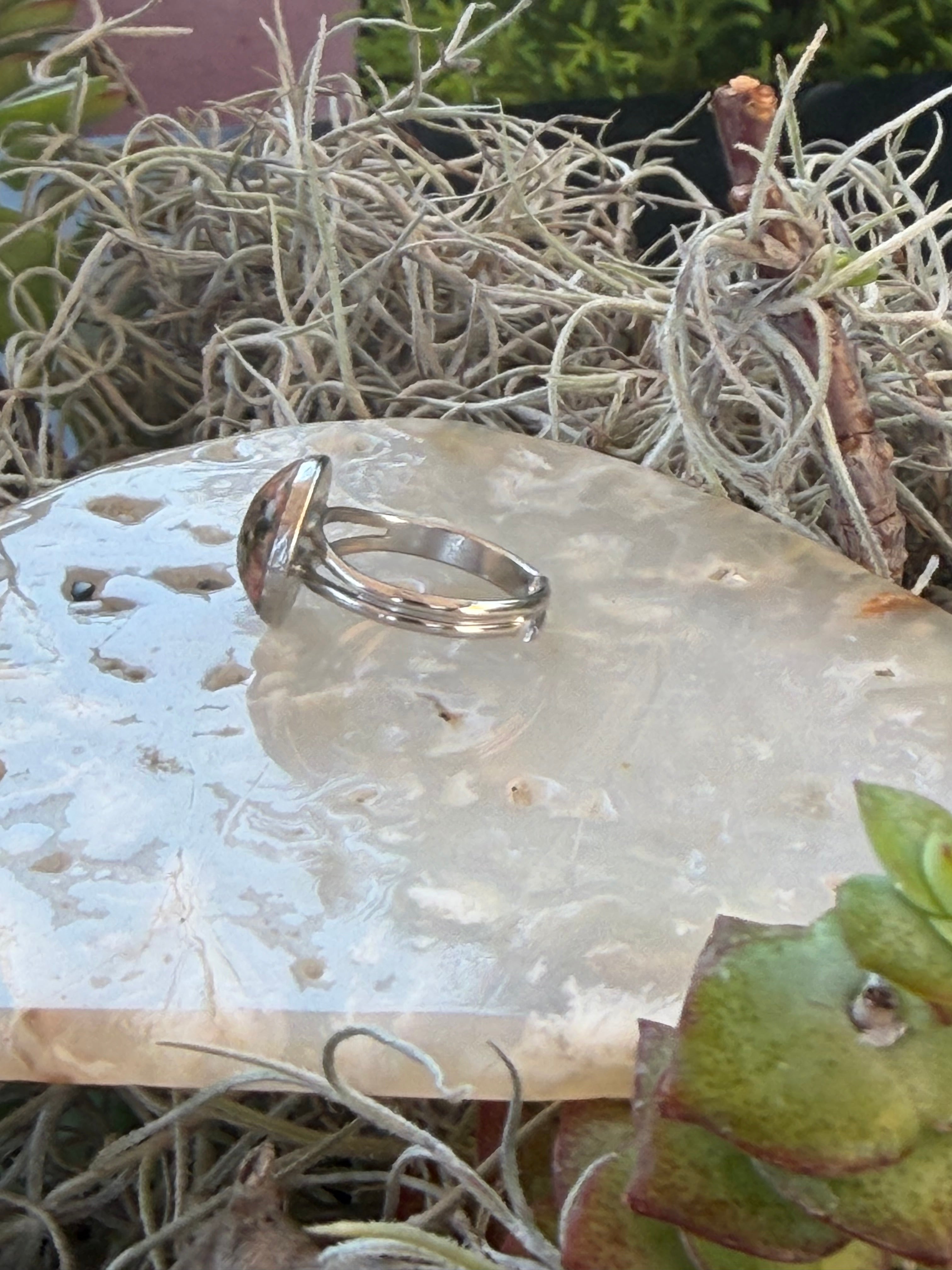 A polished silver ring with a unique curved, wave-like top, displayed on a textured white stone surrounded by dried Spanish moss and green leaves.