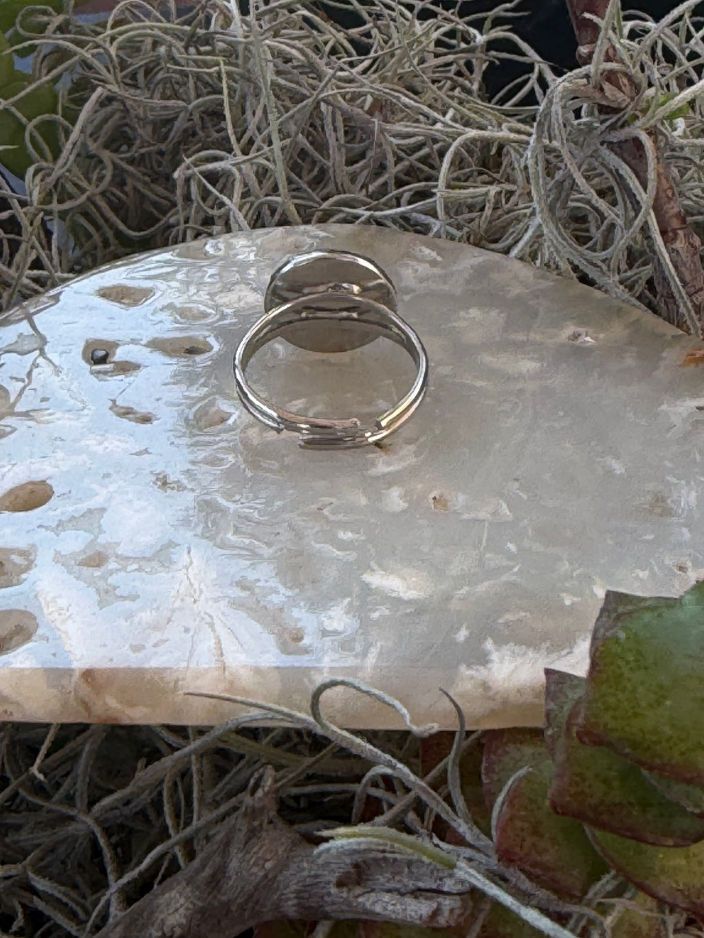 A silver-toned double-band ring with a small round stone, displayed on a polished stone slab surrounded by dried plant fibers and succulents.