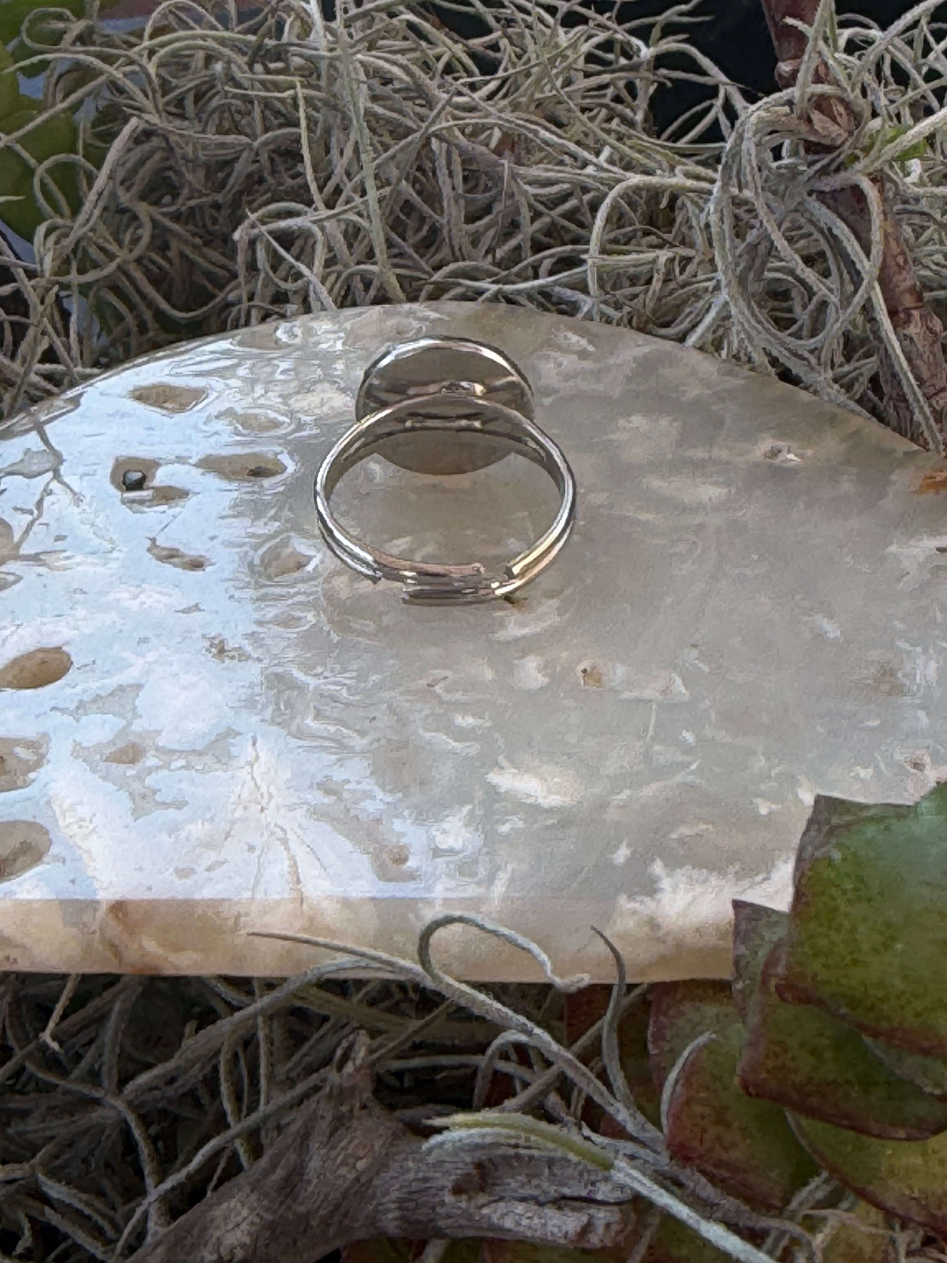 A silver-toned double-band ring with a small round stone, displayed on a polished stone slab surrounded by dried plant fibers and succulents.