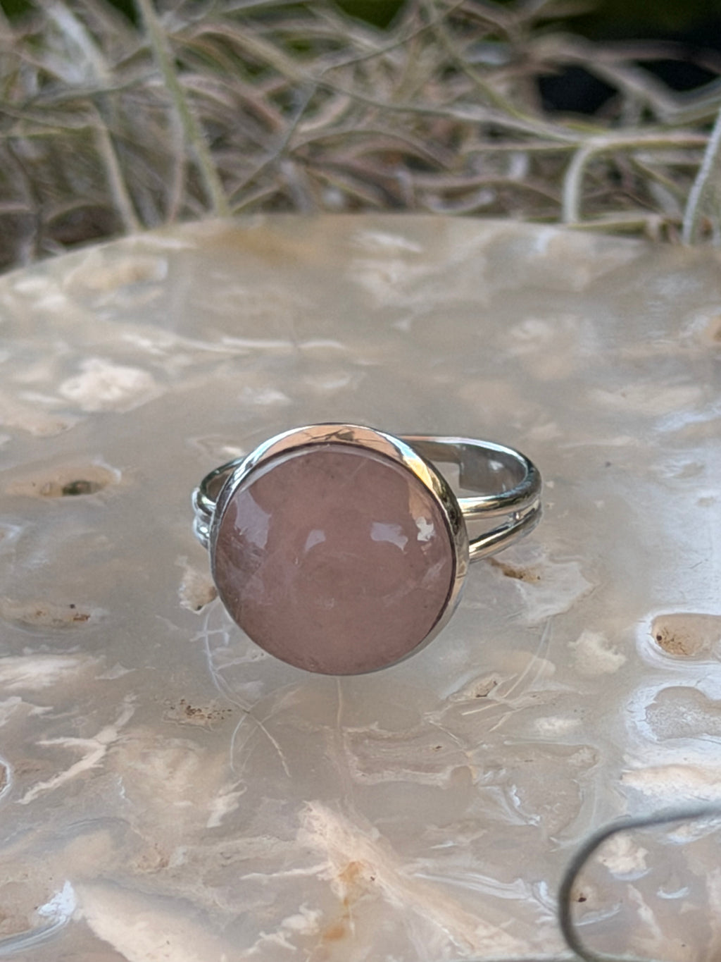 A silver ring featuring a large, round, dusty pink rose quartz cabochon, displayed on a textured white stone surface with dried grass in the background.