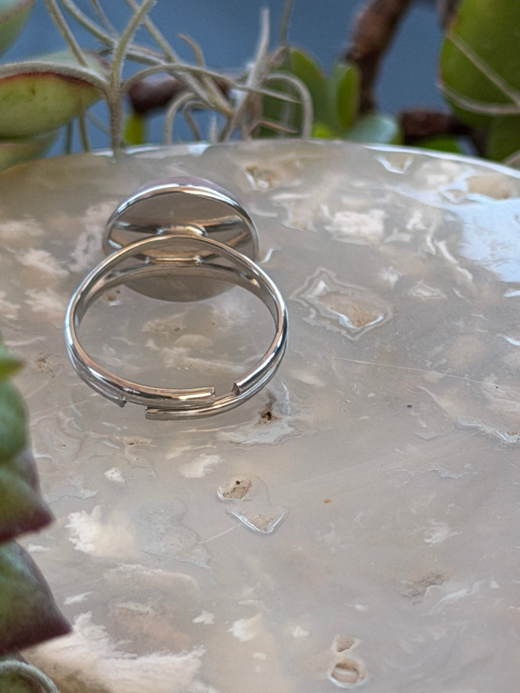 Two slim polished metal rings, appearing silver-toned, displayed on a textured, translucent glass plate with blurred green plants in the background.